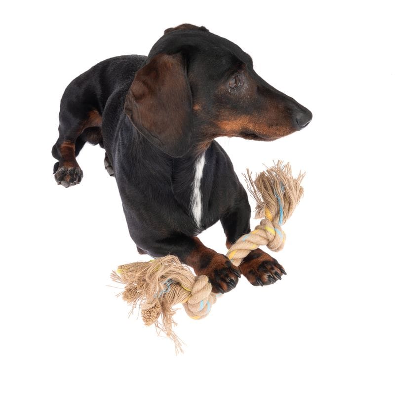 Modern Living legetov Menorca - Billede 3