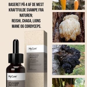 Funghi Boost 30ml.