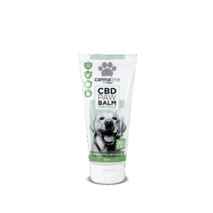CBD Paw Balm til hunde