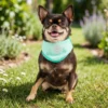 Ice Band - Kølebandana til Hund - Aqua - XS - Kølende Halsbånd til Varme Dage